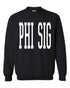 Basic Big Type Phi Sigma Sigma