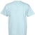 CHAMBRAY - BACK
