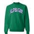Striped Alpha Gamma Delta Crewneck