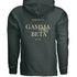 The Motto Hoodie- Gamma Phi Beta