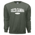 Sporty Crewneck- Delta Gamma