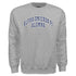 Collegiate Alumna Sweatshirt - Alpha Omicron Pi