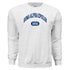 College Arch Sweatshirt- Sigma Alpha Epsilon