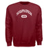 College Arch Sweatshirt- Tau Kappa Epsilon