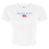 Gingham Flag Crop Tee - Delta Zeta
