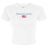 Gingham Flag Crop Tee - Phi Sigma Sigma