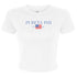 Gingham Flag Crop Tee - Pi Beta Phi