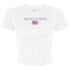Gingham Flag Crop Tee - Sigma Kappa