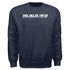 Retro Vibes Sweatshirt- Phi Delta Theta