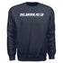 Retro Vibes Sweatshirt- Phi Gamma Delta