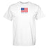 Flag T-Shirt- Phi Sigma Sigma