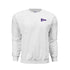 Varsity Helmet Sweatshirt- Delta Phi Epsilon
